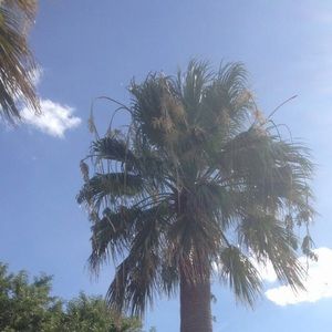 Meet your Posher, Jade